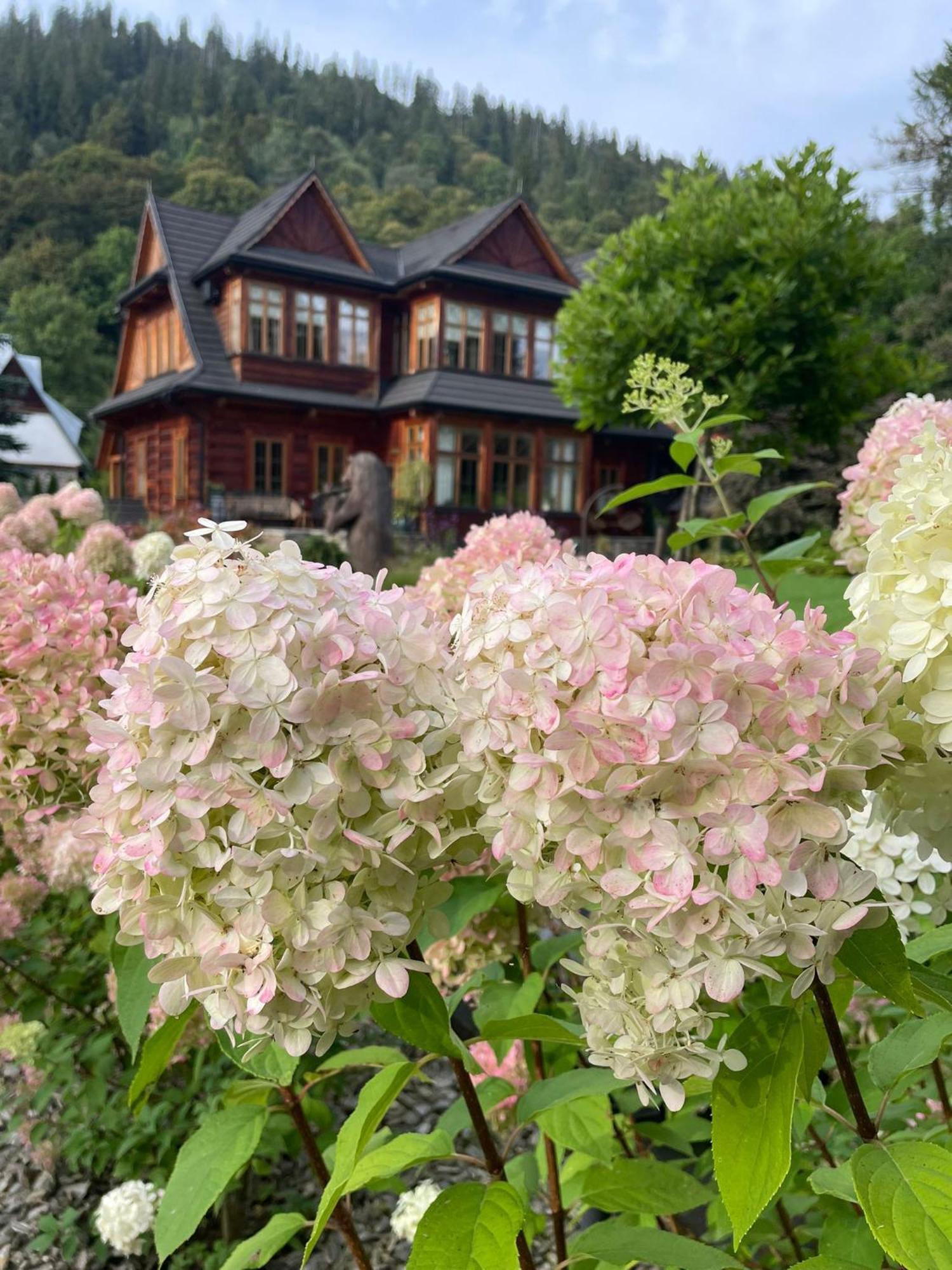 Niedzwiedzia Residence 포로닌 외부 사진